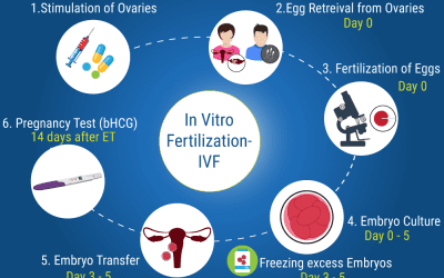 A Quick Overview about IVF