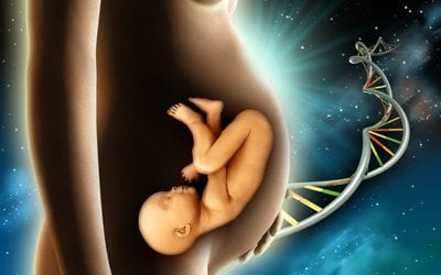 What is Preimplantation Genetic Diagnosis (PGD)?