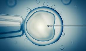 The Surrogate Embryo Transfer Prodecure