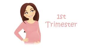 IVF and Pregnancy by Trimester (a 3-part series)
