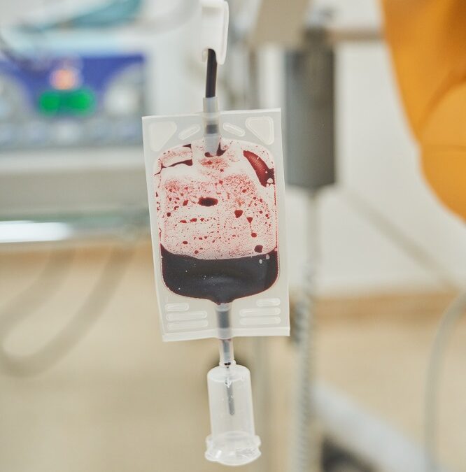 What is Cord Blood Banking and Can I Do It With Surrogacy?