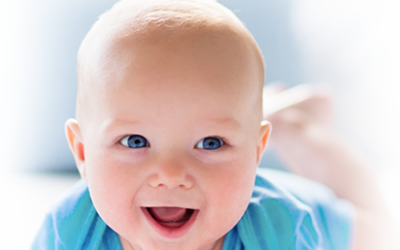 Why Choose Shared Conception